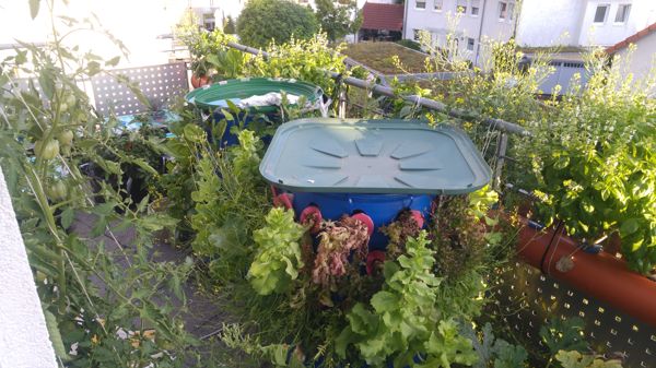 Balcony Garden - Sprinklers watering the roots