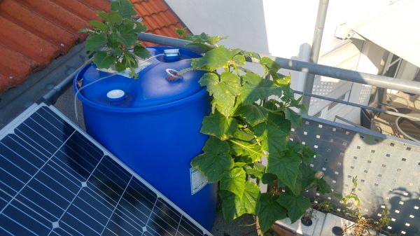 Solar Panels - Affordable and Efficient